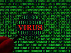 Virus